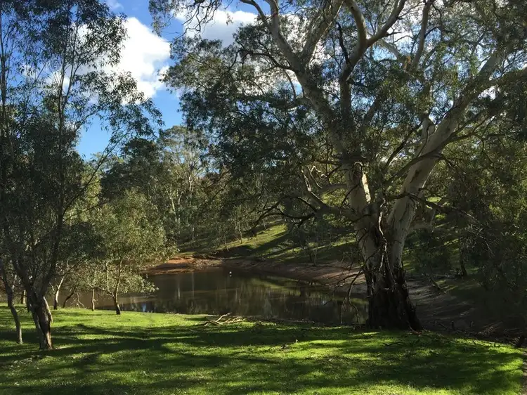 Third view of Homely rural property listing, 8 Harveys Quarry Road, Williamstown SA 5351