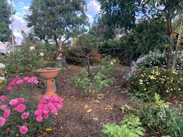 Second view of Homely house listing, 3 Wanke Road, Mannum SA 5238