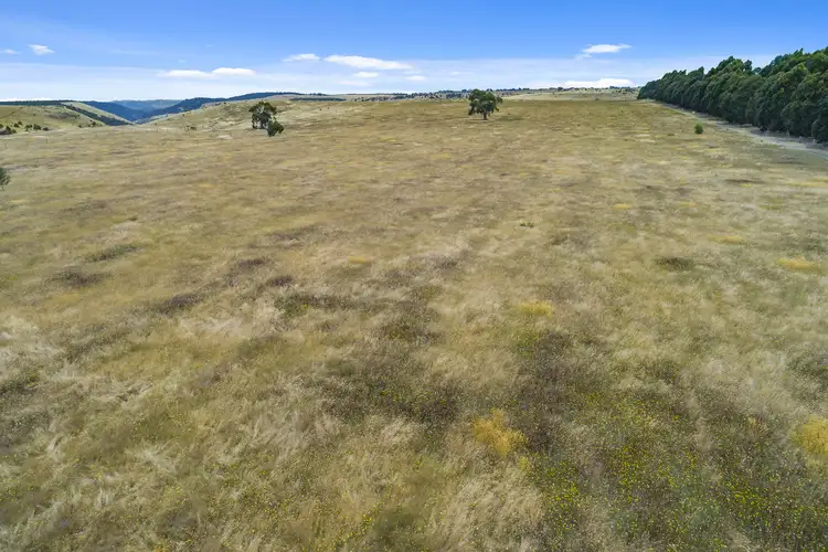Sixth view of Homely rural property listing, 301 Garrards Lane, Myrniong VIC 3341