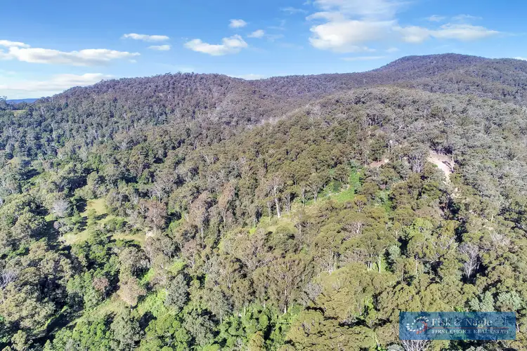 196 Sth Wolumla Road, South Wolumla NSW 2550