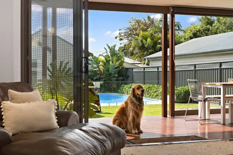 Fifth view of Homely house listing, 12 Fourth Street, Adamstown NSW 2289