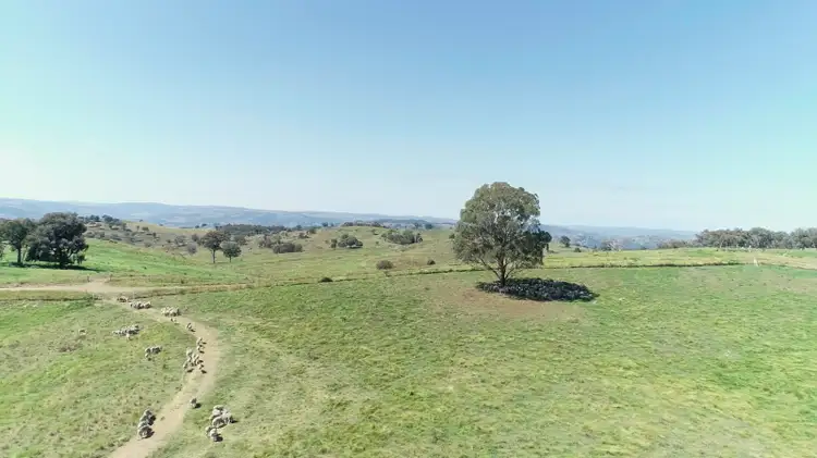 Fourth view of Homely rural property listing, 'Morella' 1257 Bundalah Road, Euchareena NSW 2866
