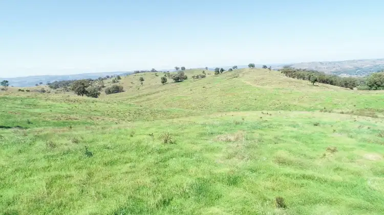 Seventh view of Homely rural property listing, 'Morella' 1257 Bundalah Road, Euchareena NSW 2866