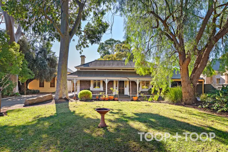 27 William Street, Norwood SA 5067