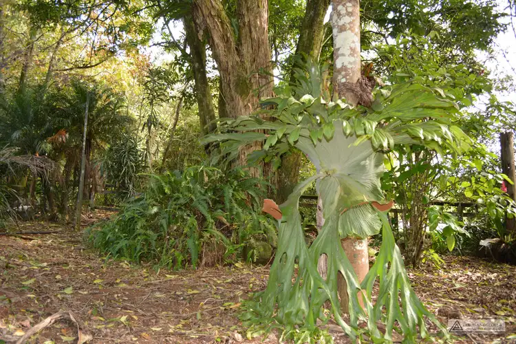 Fifth view of Homely rural property listing, Address available on request