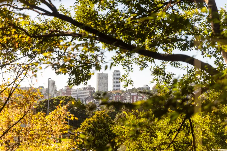 Sixth view of Homely apartment listing, 11/46 Roslyn Gardens, Rushcutters Bay NSW 2011