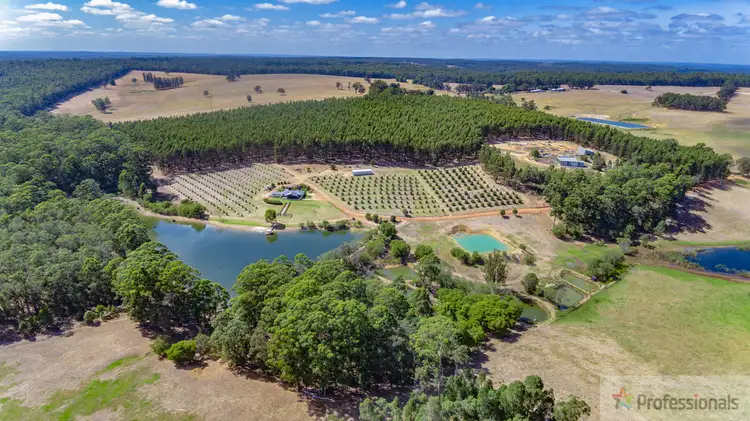 Third view of Homely rural property listing, 165 Black Georges Road, Manjimup WA 6258