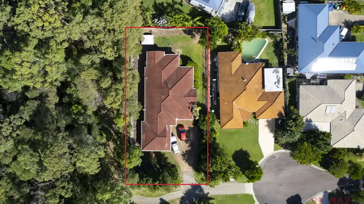 Main view of Homely house listing, 6 Cabbage Palm Court, Little Mountain QLD 4551