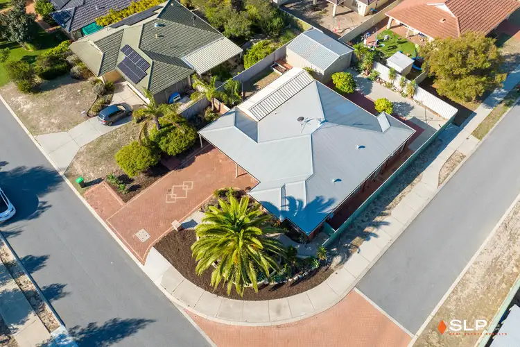 55 Celadon Loop, Banksia Grove WA 6031