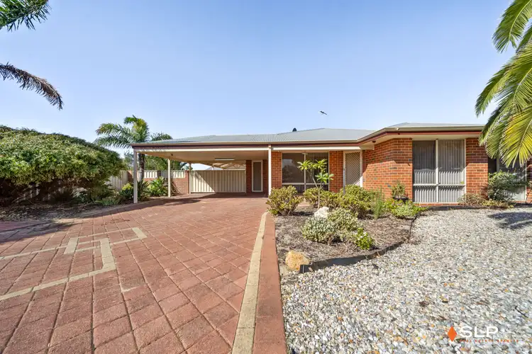 Fifth view of Homely house listing, 55 Celadon Loop, Banksia Grove WA 6031