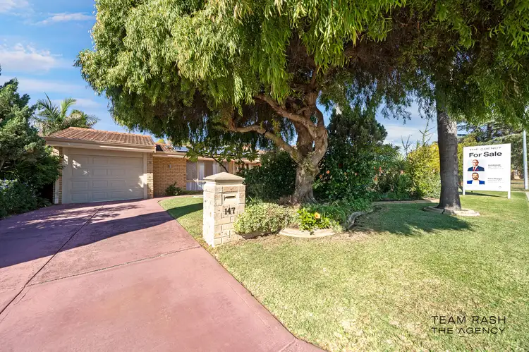 Main view of Homely house listing, 147 Blackadder Road, Swan View WA 6056