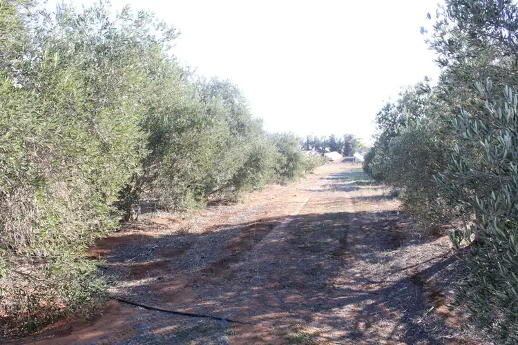 Third view of Homely rural property listing, 1080 Balaklava Road, Bowmans SA 5550