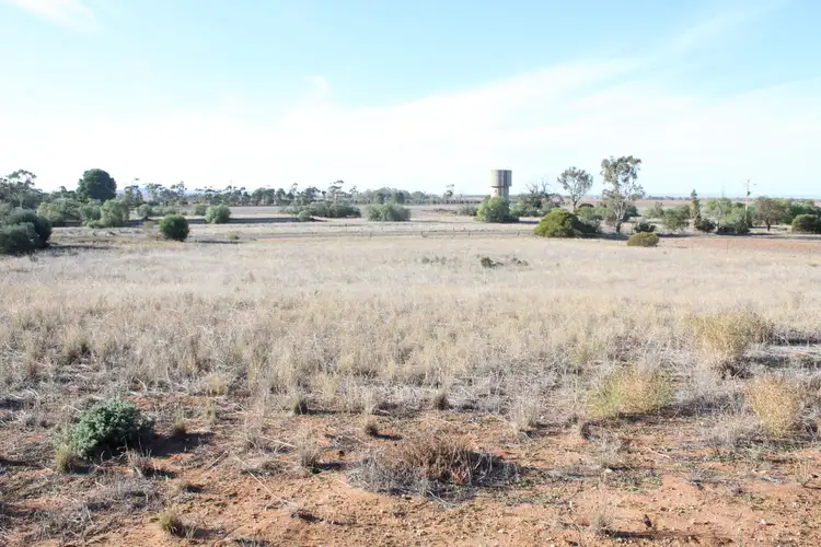 Fourth view of Homely rural property listing, 1080 Balaklava Road, Bowmans SA 5550