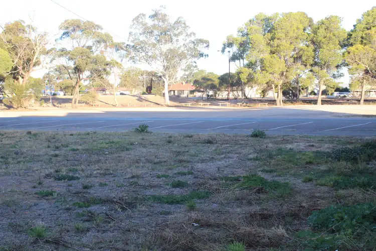 Sixth view of Homely land listing, 19 Railway Terrace, Bute SA 5560