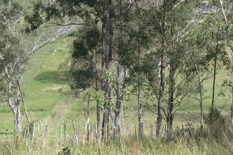Fifth view of Homely land listing, 9 Carey Street, Bonalbo NSW 2469