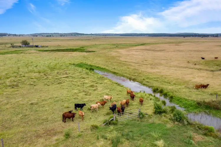 Fourth view of Homely rural property listing, Oakey Cooyar Road, Rosalie Plains QLD 4401