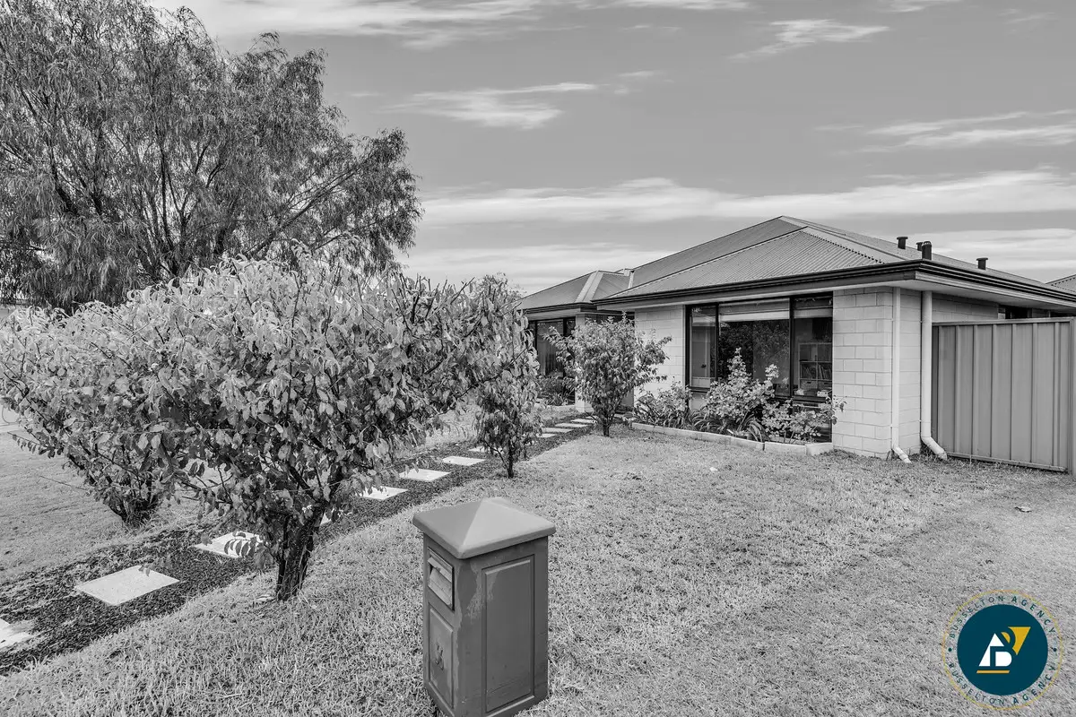 Main view of Homely house listing, 36 Sickle Drive, Vasse WA 6280