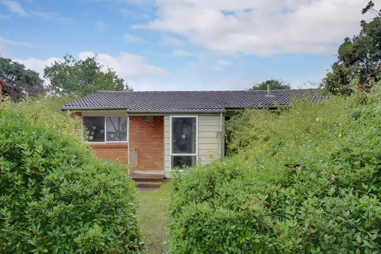110 Cowper Street, Dickson ACT 2602
