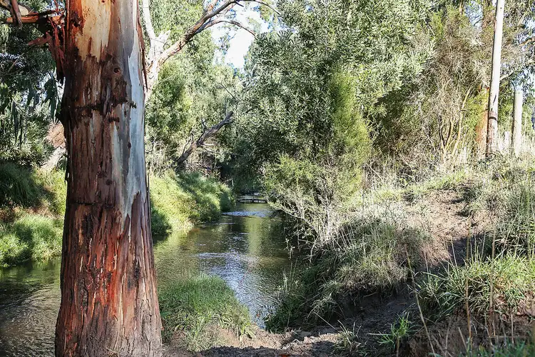 Main view of Homely rural property listing, Silks Access Road, Carlisle River VIC 3239