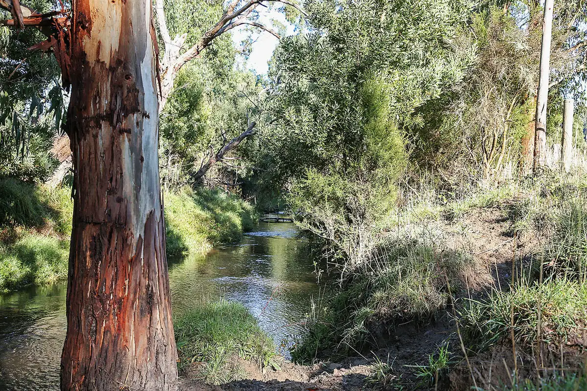 Main view of Homely rural property listing, Silks Access Road, Carlisle River VIC 3239
