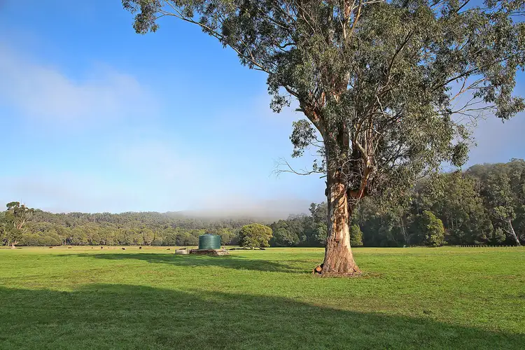 Third view of Homely rural property listing, Silks Access Road, Carlisle River VIC 3239