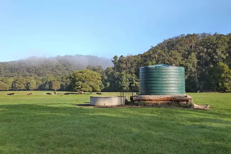 Fourth view of Homely rural property listing, Silks Access Road, Carlisle River VIC 3239