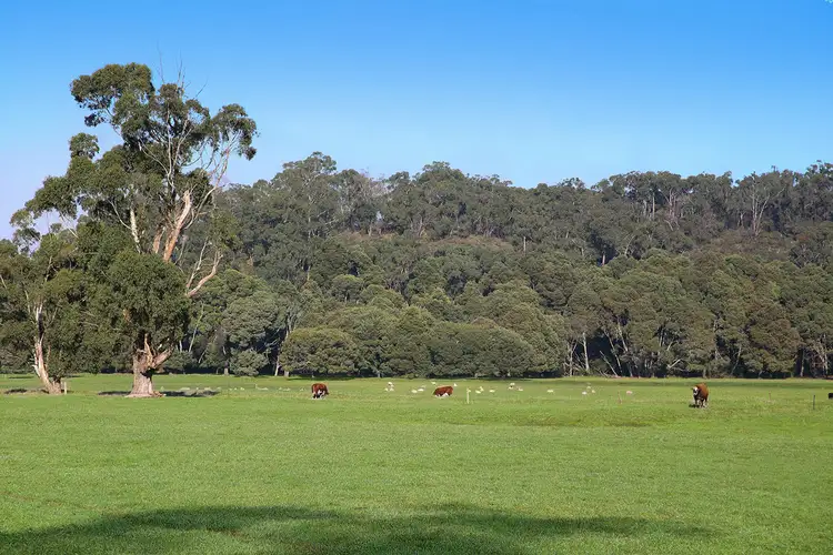 Sixth view of Homely rural property listing, Silks Access Road, Carlisle River VIC 3239