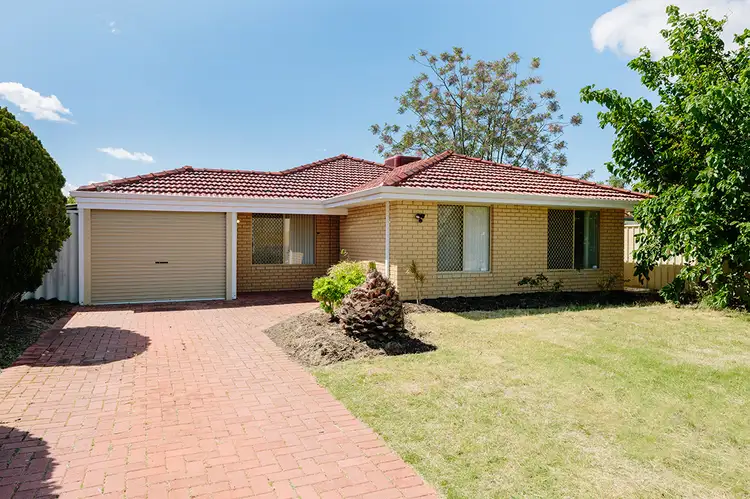 Main view of Homely house listing, 16 Watheroo Court, Ballajura WA 6066