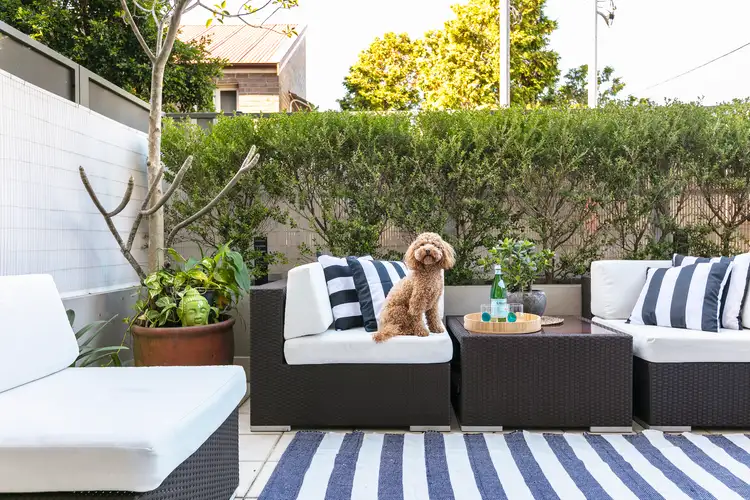 Fifth view of Homely townhouse listing, 4/30 Norton Street, Glebe NSW 2037