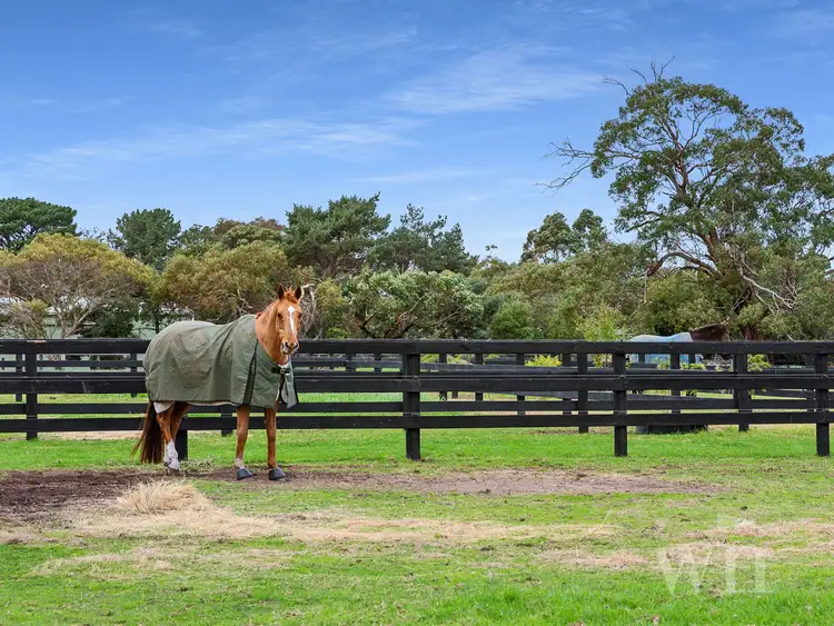 Third view of Homely house listing, 80 Racecourse Road, Mount Martha VIC 3934