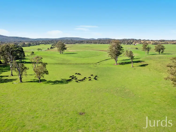 1245A Paterson Road, Paterson NSW 2421