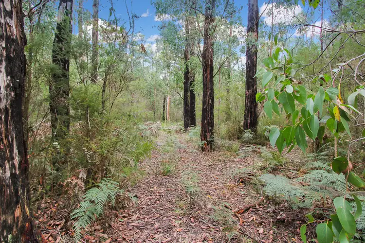 Main view of Homely rural property listing, 4 Le Bruns Road, Darlimurla VIC 3871