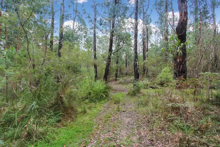 Fifth view of Homely rural property listing, 4 Le Bruns Road, Darlimurla VIC 3871