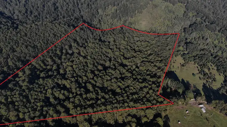 255 Upper Gellibrand Road, Barramunga VIC 3249