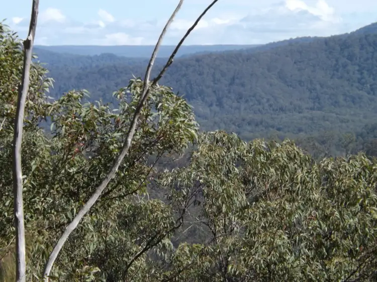 1021D Long Gully Road, Drake NSW 2469