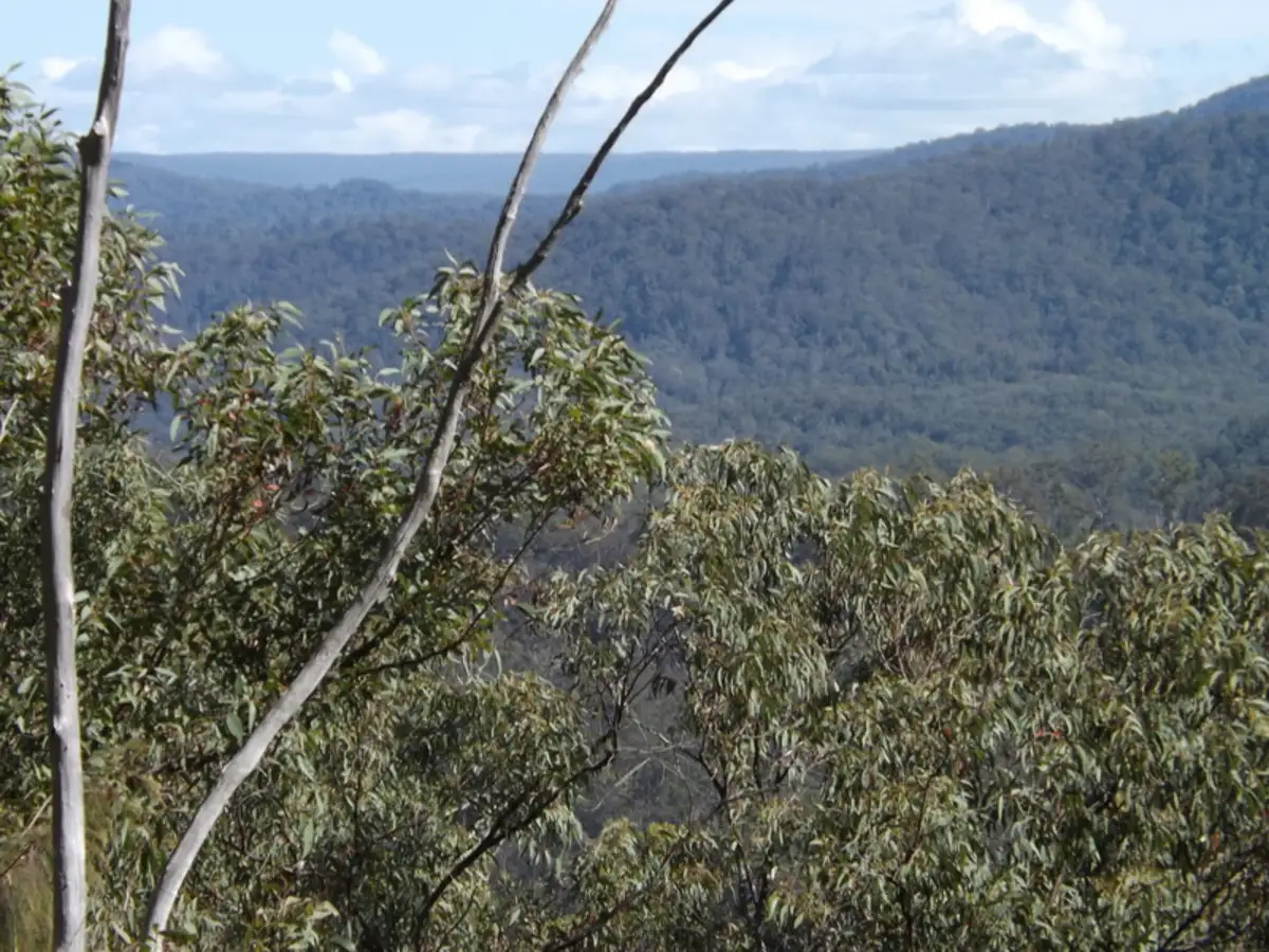 Main view of Homely rural property listing, 1021D Long Gully Road, Drake NSW 2469