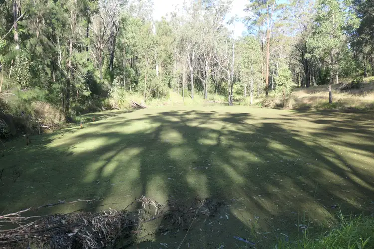 Fourth view of Homely rural property listing, 1021D Long Gully Road, Drake NSW 2469