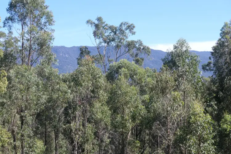 Fifth view of Homely rural property listing, 1021D Long Gully Road, Drake NSW 2469