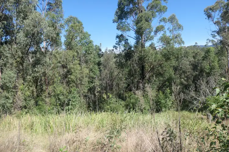 Sixth view of Homely rural property listing, 1021D Long Gully Road, Drake NSW 2469