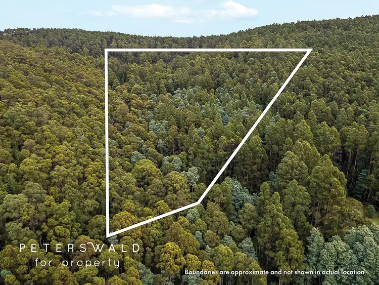 Second view of Homely land listing, LOT 129056, 2 Gallaghers Road, Flowerpot TAS 7163