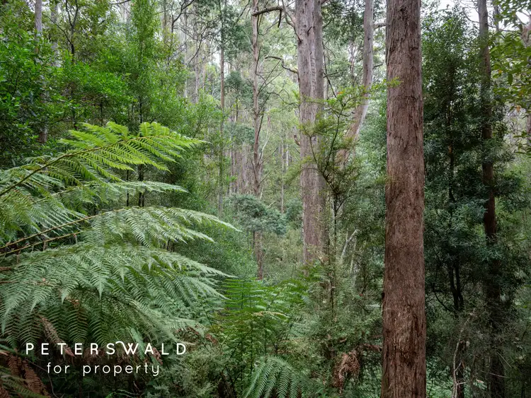 Fourth view of Homely land listing, LOT 129056, 2 Gallaghers Road, Flowerpot TAS 7163