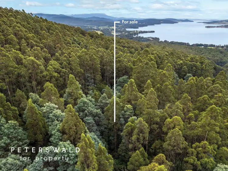 Fifth view of Homely land listing, LOT 129056, 2 Gallaghers Road, Flowerpot TAS 7163