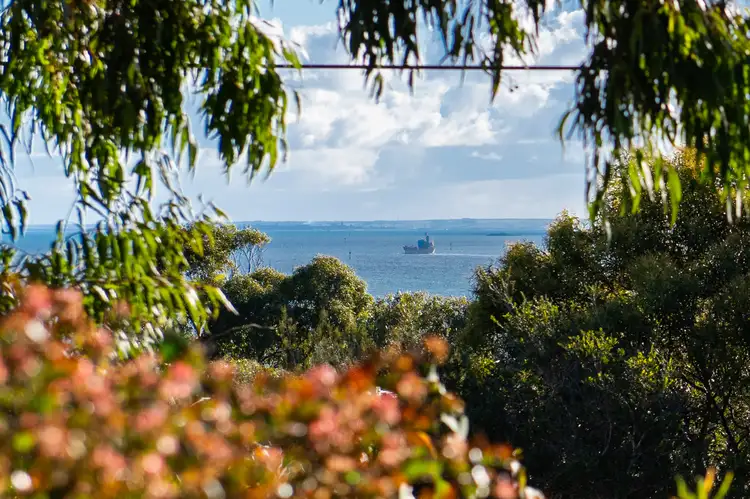 Main view of Homely house listing, 95 Bayview Road, Mccrae VIC 3938