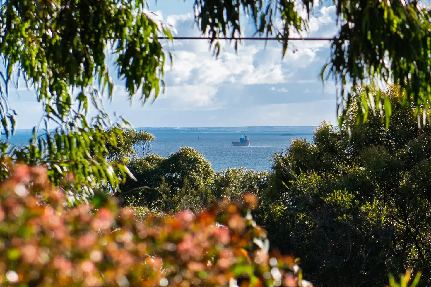 Main view of Homely house listing, 95 Bayview Road, Mccrae VIC 3938