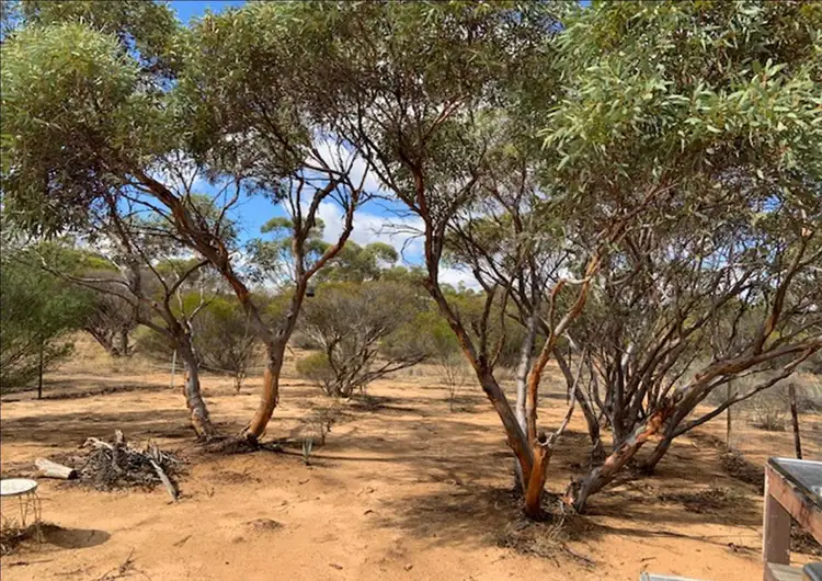 40 Bennett Road, Nungarin WA 6490