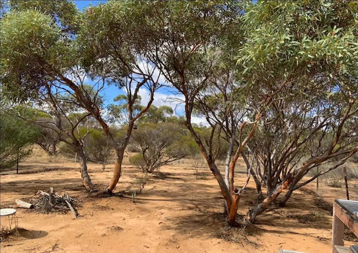 Main view of Homely land listing, 40 Bennett Road, Nungarin WA 6490