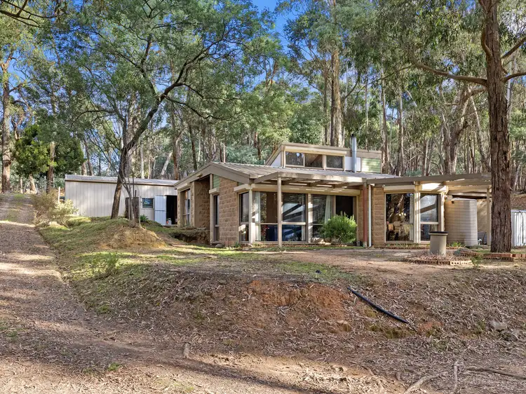 Main view of Homely house listing, 99 Mc Kinley Track, Cobaw VIC 3442