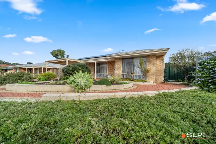 Second view of Homely house listing, 17 Mangrove Circuit, Banksia Grove WA 6031