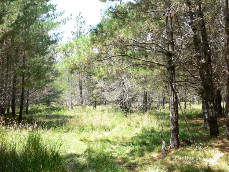 Lot 244 Radiata, Sugarloaf QLD 4380
