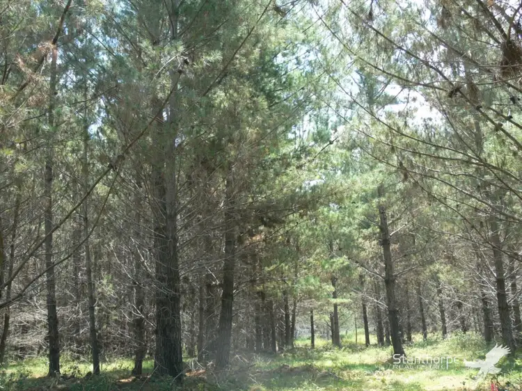 Seventh view of Homely land listing, Lot 244 Radiata, Sugarloaf QLD 4380